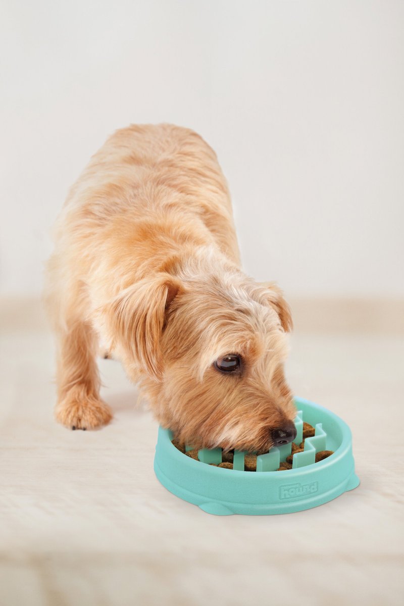 Outward Hound Non-Skid Plastic Slow Feeder Dog Bowl