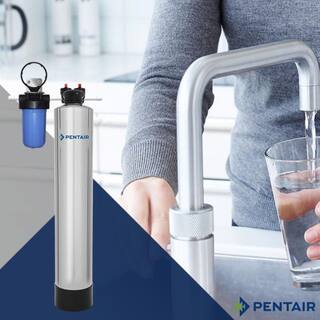 PENTAIR 10 GPM Whole House Carbon Water Filtration System in Premium Stainless Steel PC600-P