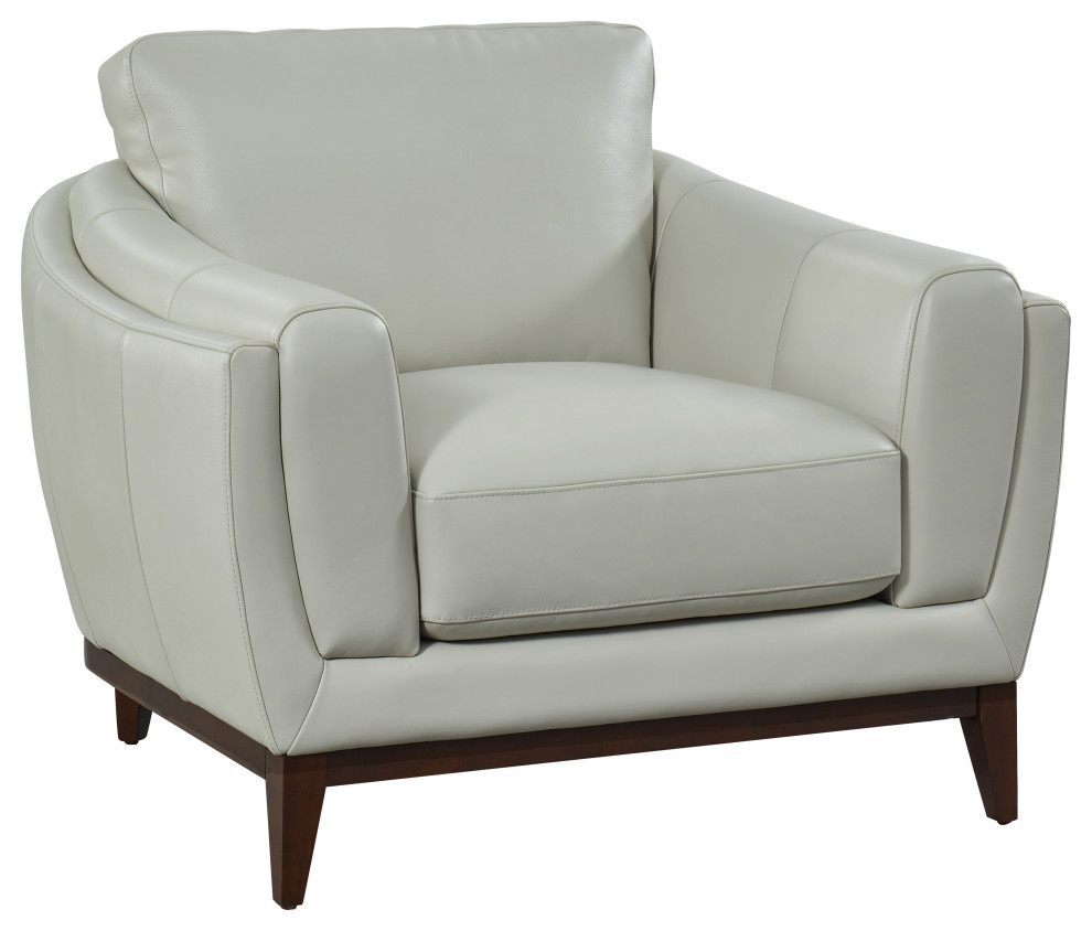 Rio Top Grain Leather Armchair   Transitional   Armchairs And Accent Chairs   by Hello Sofa Home  Houzz