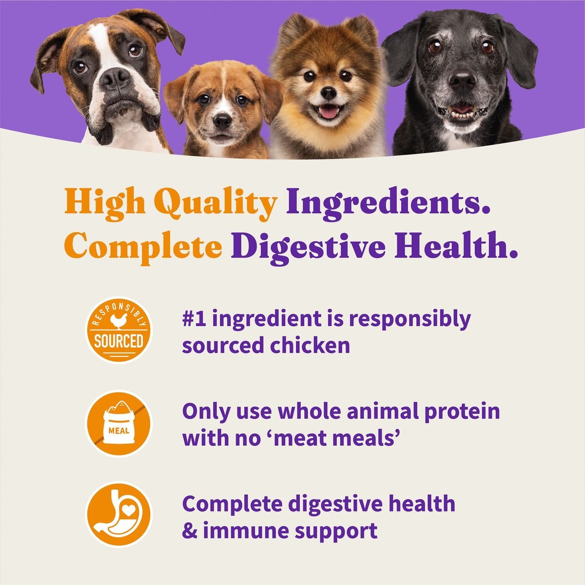 Halo Holistic Complete Digestive Health Grain-Free Chicken and Sweet Potato Recipe Senior Dry Dog Food