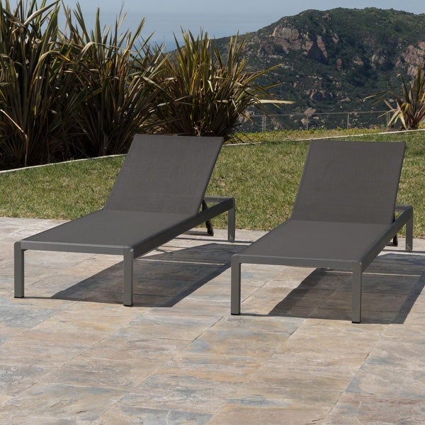 Xane Outdoor Chaise Lounge- Set of 2 - Gray and Dark Gray