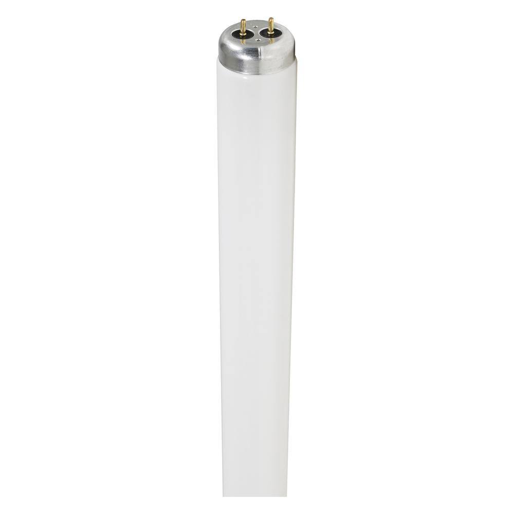 Sylvania 40-Watt 4 ft. Linear T12 Fluorescent Tube Light Bulb Cool White (10-Pack) 22645