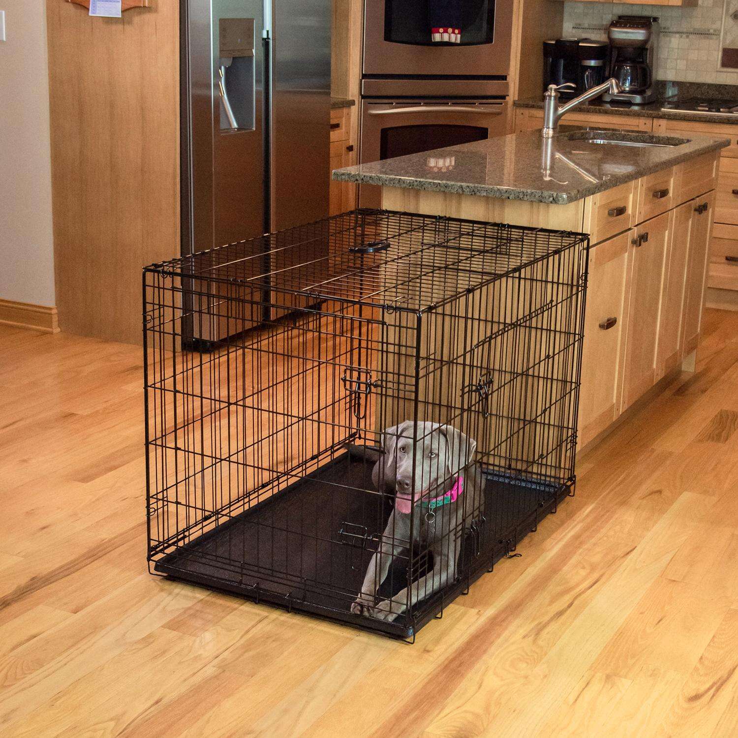 Pet Essentials Medium Steel Dog Crate Black 26 in. H X 24 in. W X 36 in. D