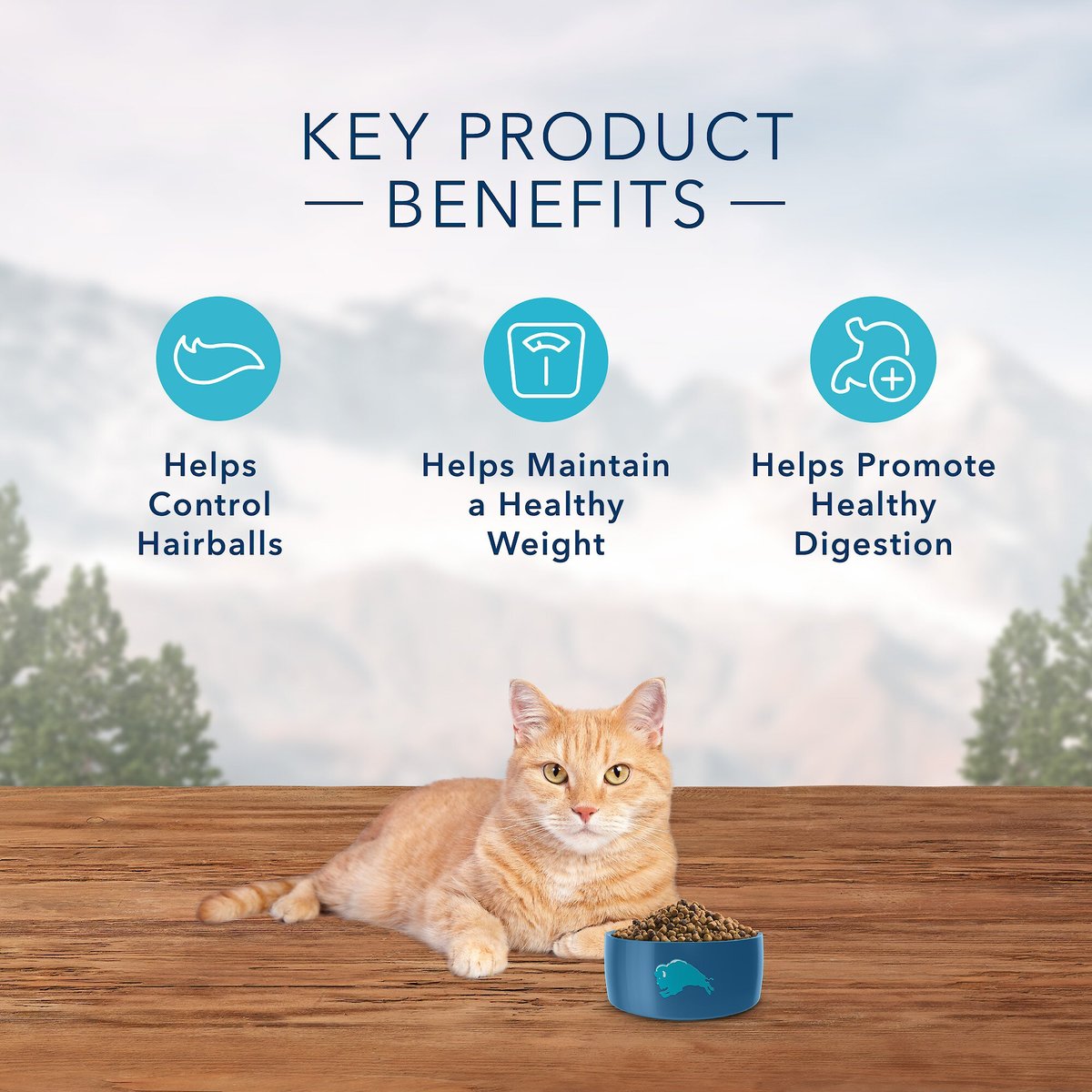 Blue Buffalo Wilderness Indoor Hairball and Weight Control Chicken Recipe Grain-Free Dry Cat Food