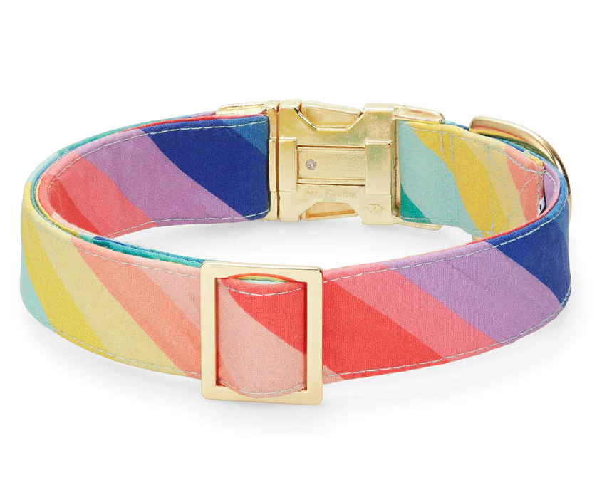 The Foggy Dog Collar - Over the Rainbow