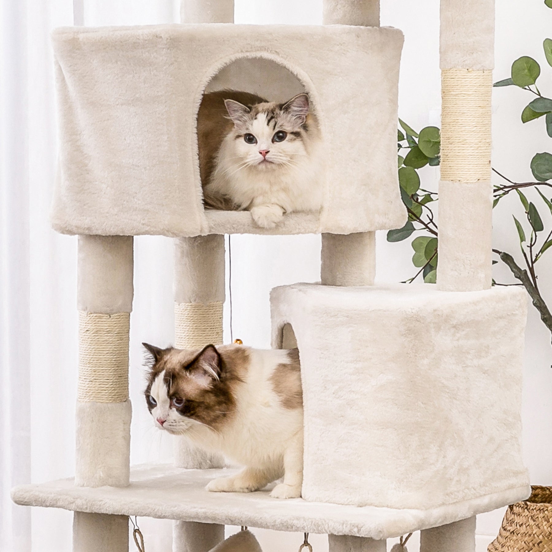 Quuzee 51.6-in Cat Tree Tower with Double Condo,Scratching Post Hammock, Beige