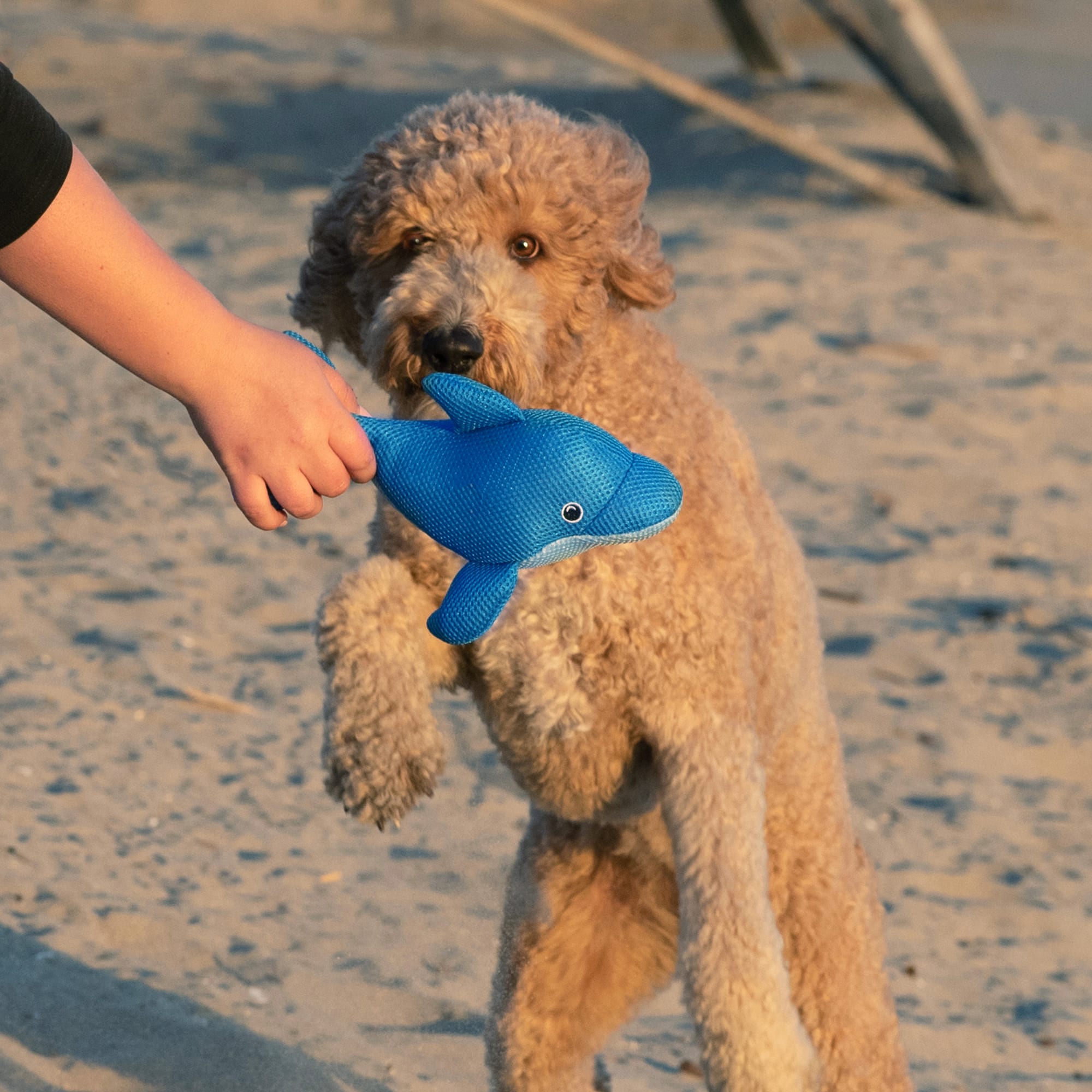 Canada Pooch Blue Chill Seeker Dolphin Cooling Pals Dog Toy