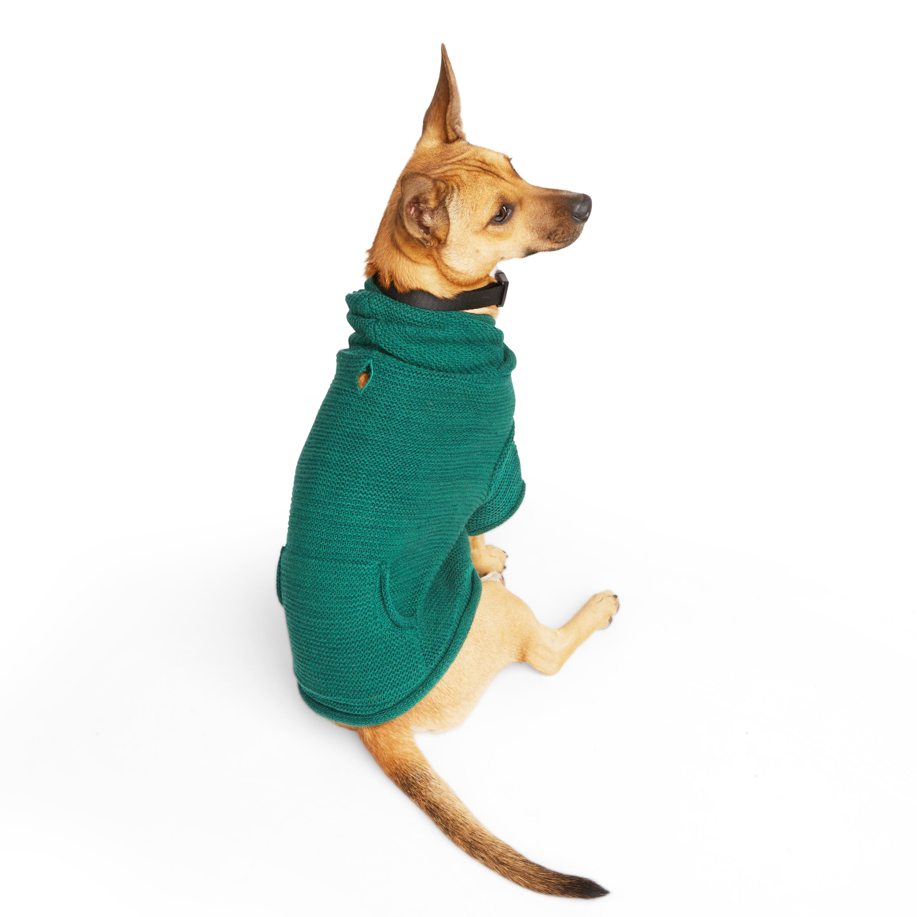 YOULY Green Sweater Dog Hoodie， XX-Small