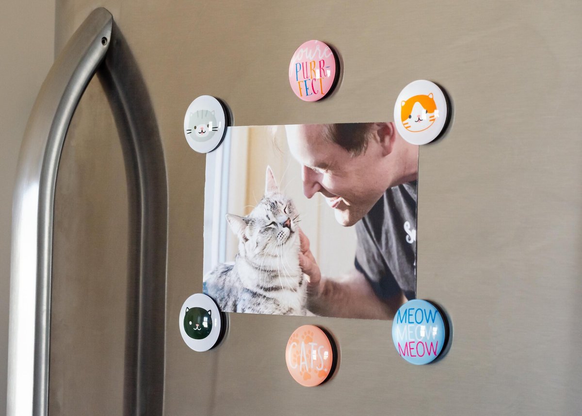 Pearhead Cat Magnets