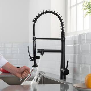 Boyel Living Single-Handle Gooseneck Pull-Down Sprayer Kitchen Faucet with Pot Filler and Water Supply Lines in Matte Black BM2010B