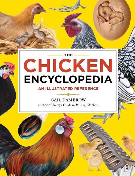 Chicken Encyclopedia