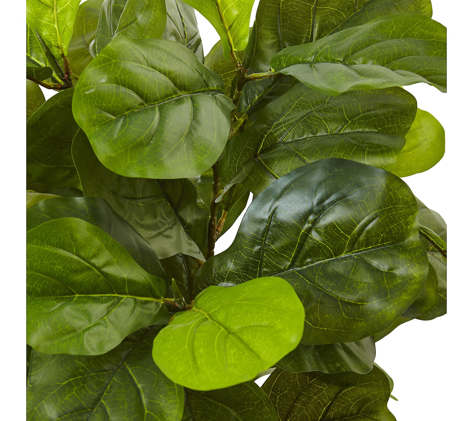 4.5' Fiddle Leaf Fig Tree in White Planter by Nearly Natural