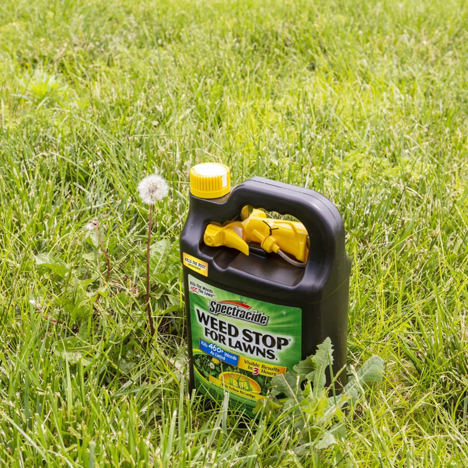 Spectracide Weed Stop Weed Killer RTU Liquid 1 gal