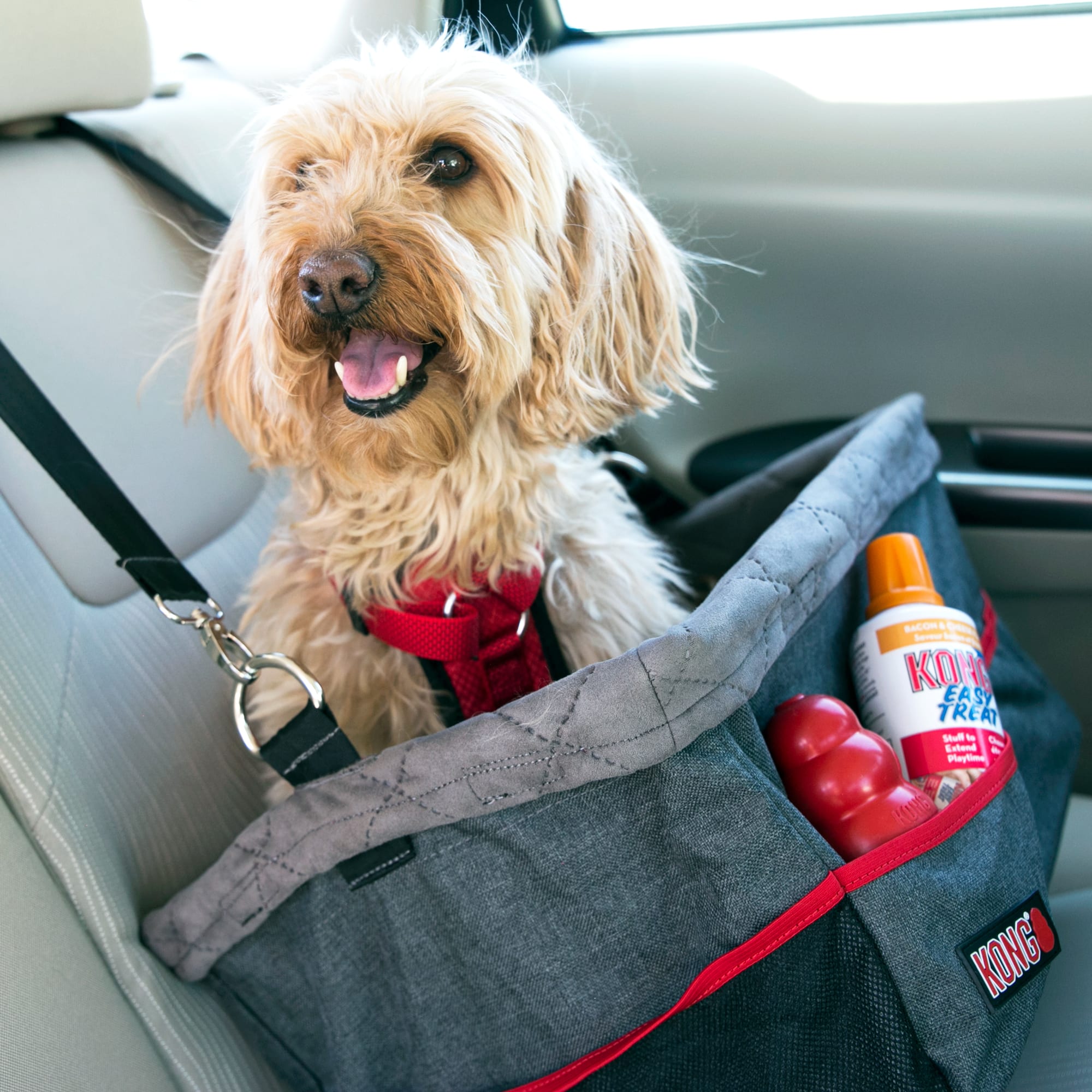 KONG Secure Dog Car Booster Seat with Built-In Tether， 9