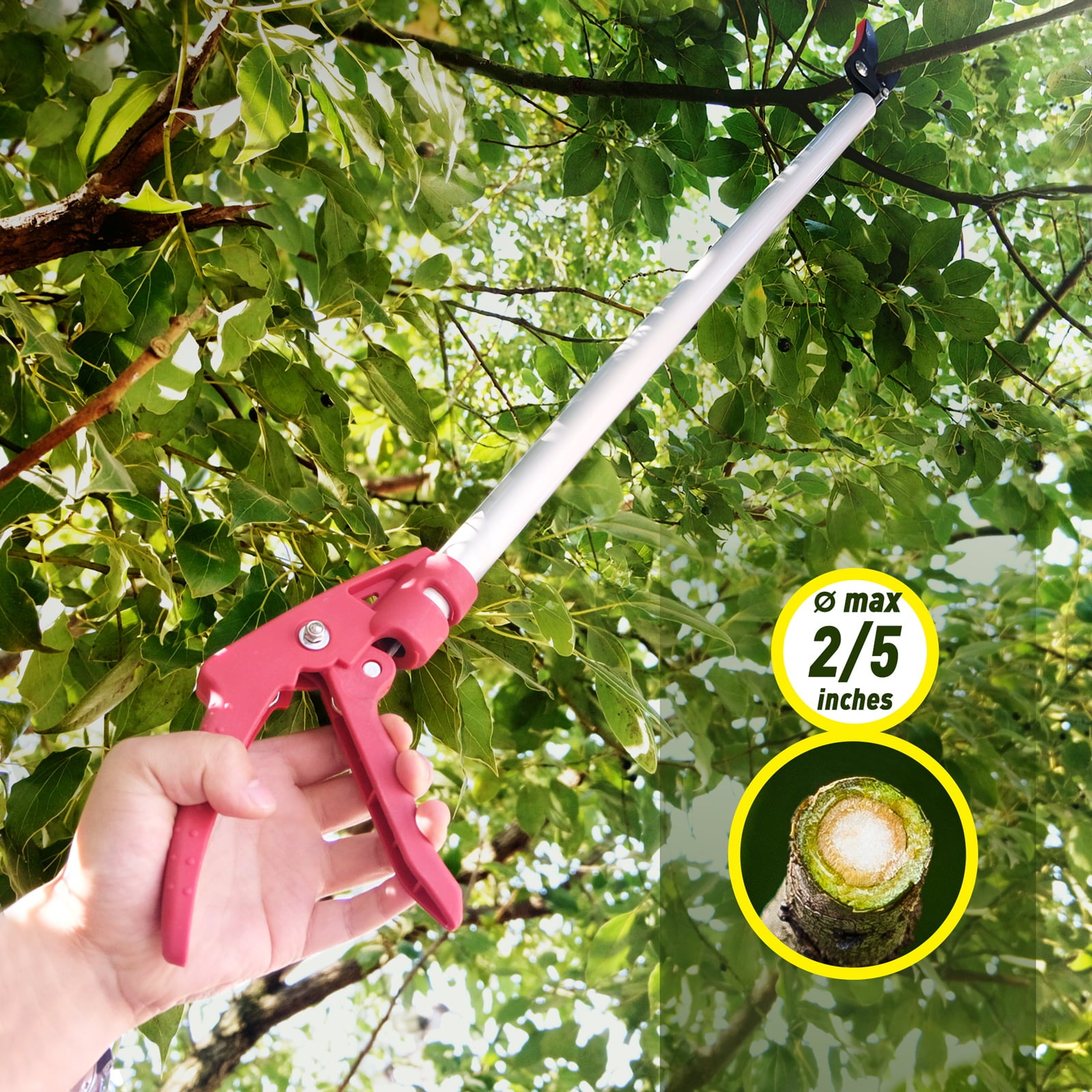 Hortem Pruning Shears Set, 32-Inch Long Tree Reach Pruner or Fruit Picker and Bypass Pruner