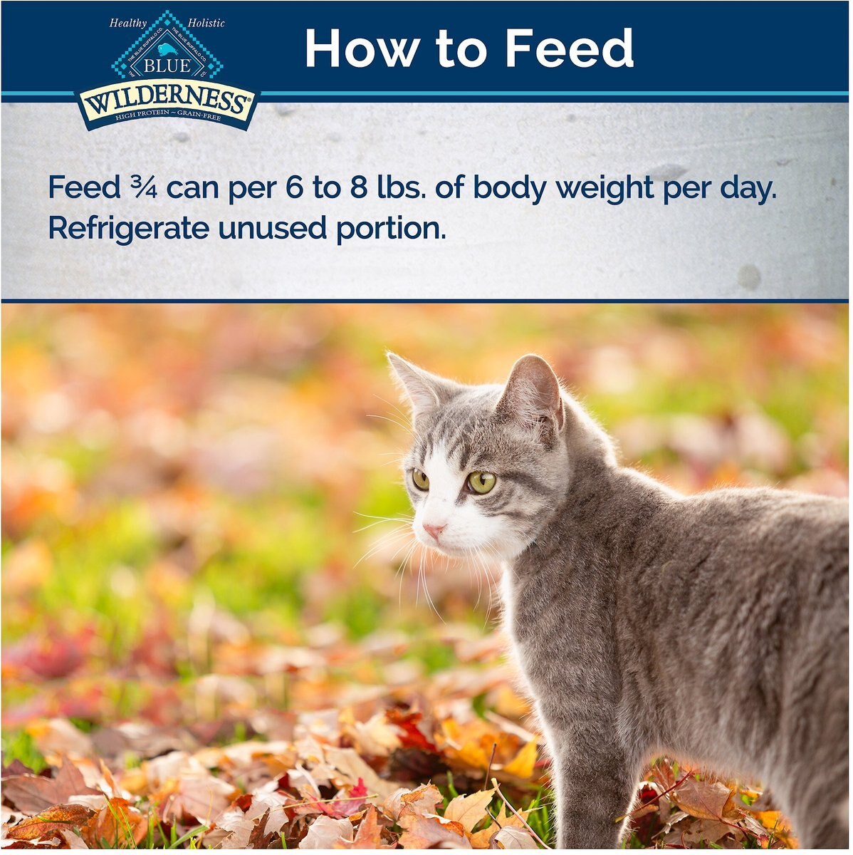 Blue Buffalo Wilderness Turkey Grain-Free Canned Cat Food