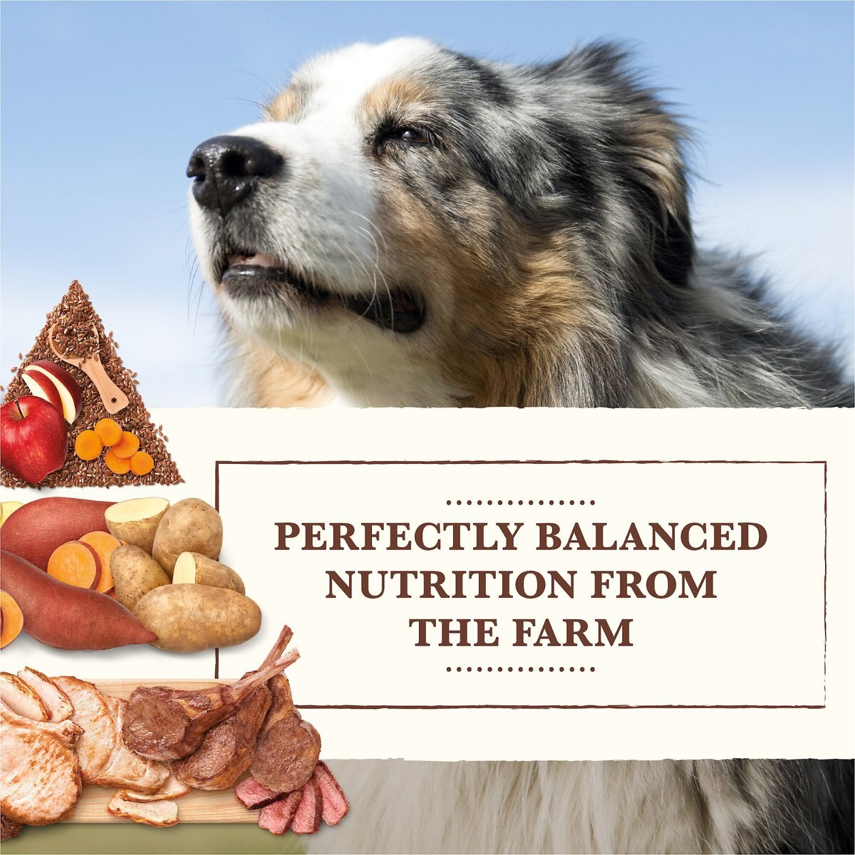 Whole Earth Farms Grain-Free Pork， Beef and Lamb Recipe Dry Dog Food