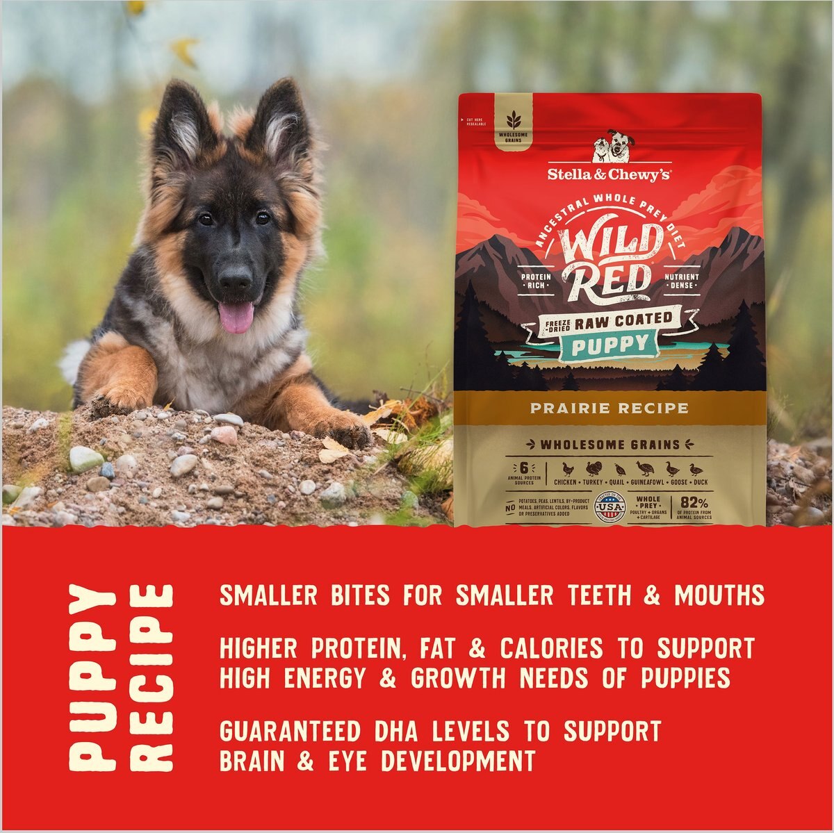 Stella and Chewy's Puppy Prairie Recipe Wild Red Raw Coated High Protein Wholesome Grains Dry Dog Food