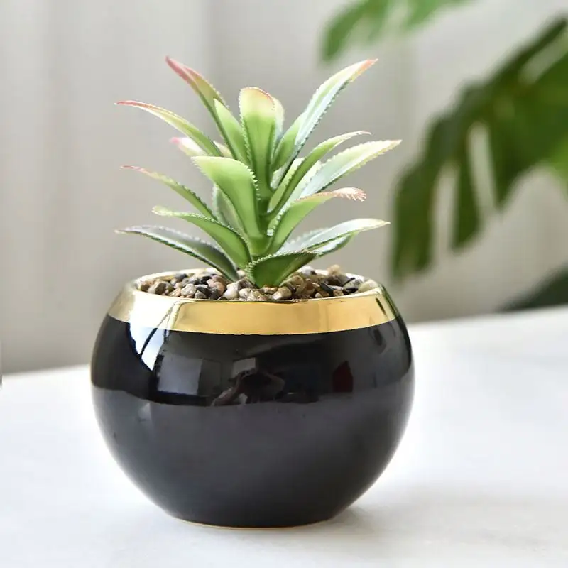 Factory price Fashion China Wholesale garden supplies mini bonsai ceramic pot for succulent flower plant for Decor/