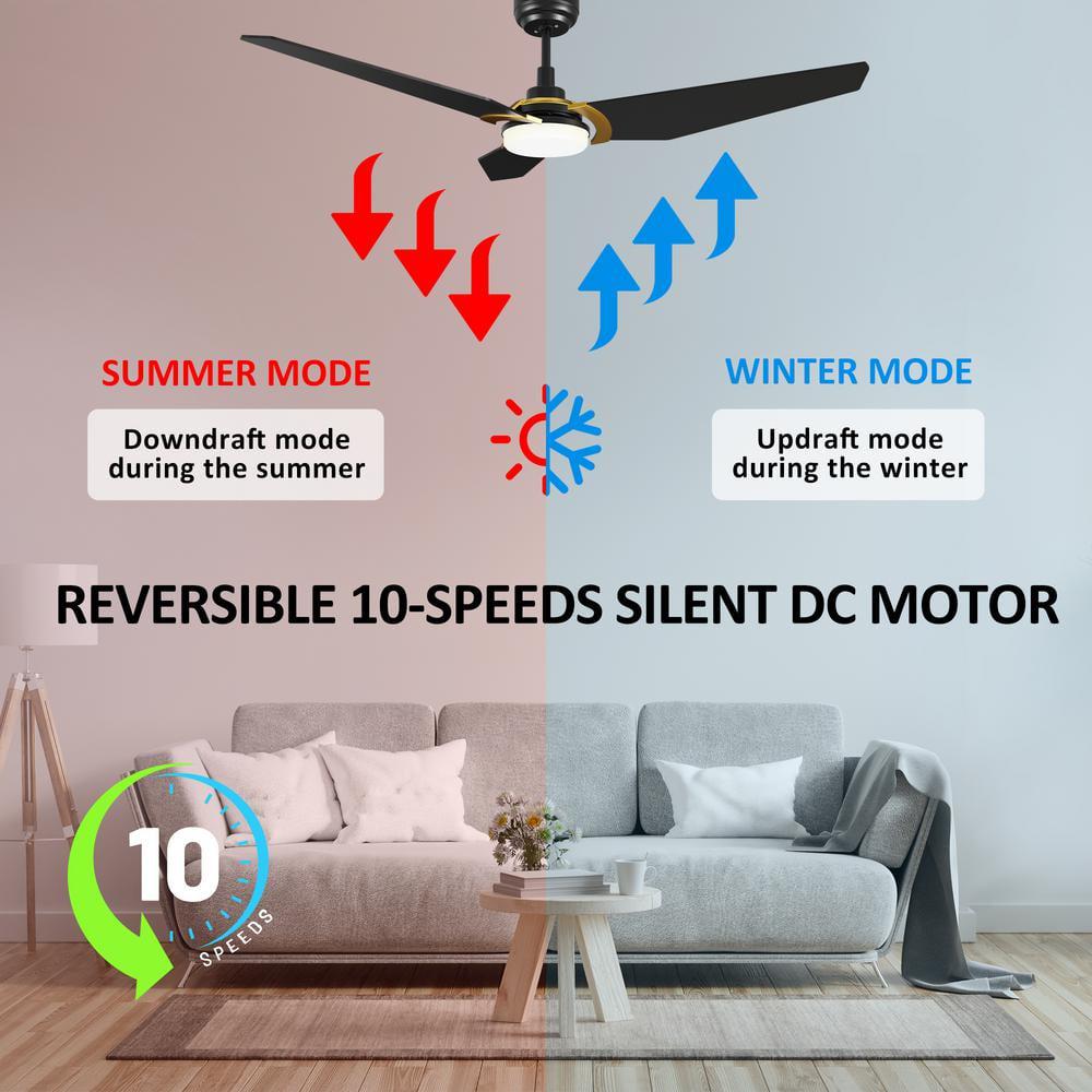 CARRO Brently 52 in Dimmable LED IndoorOutdoor Black Smart Ceiling Fan with Light and Remote Works w AlexaGoogle Home