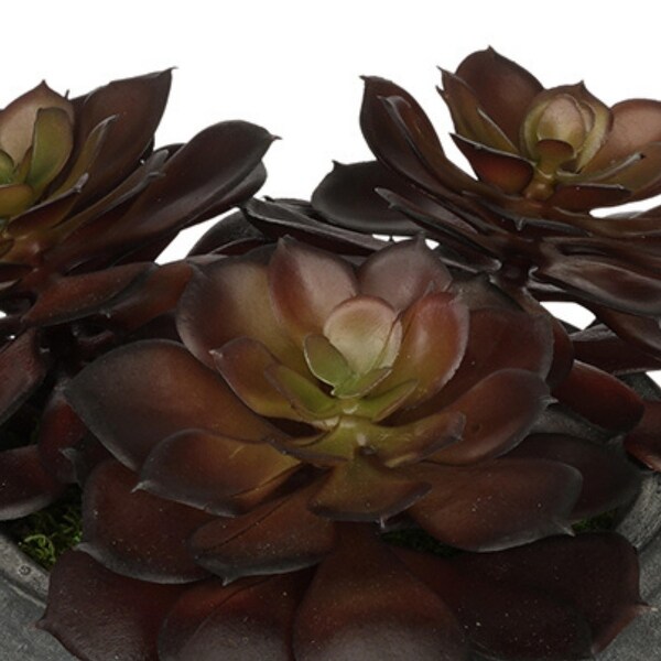 Faux Burgundy Echeveria Garden in Small Ceramic Bowl