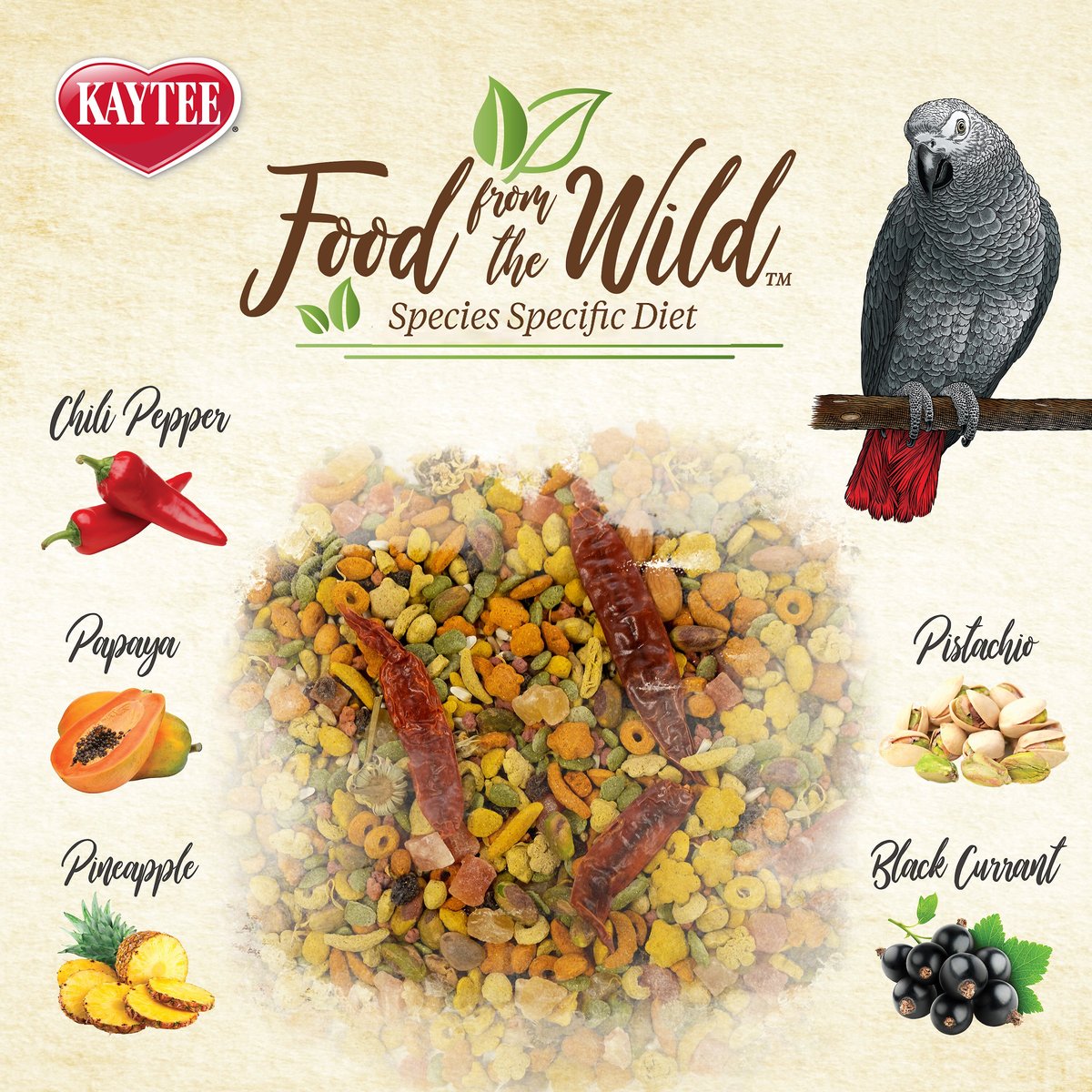 Kaytee Food from the Wild Parrot Bird Food， 2.5-lb bag