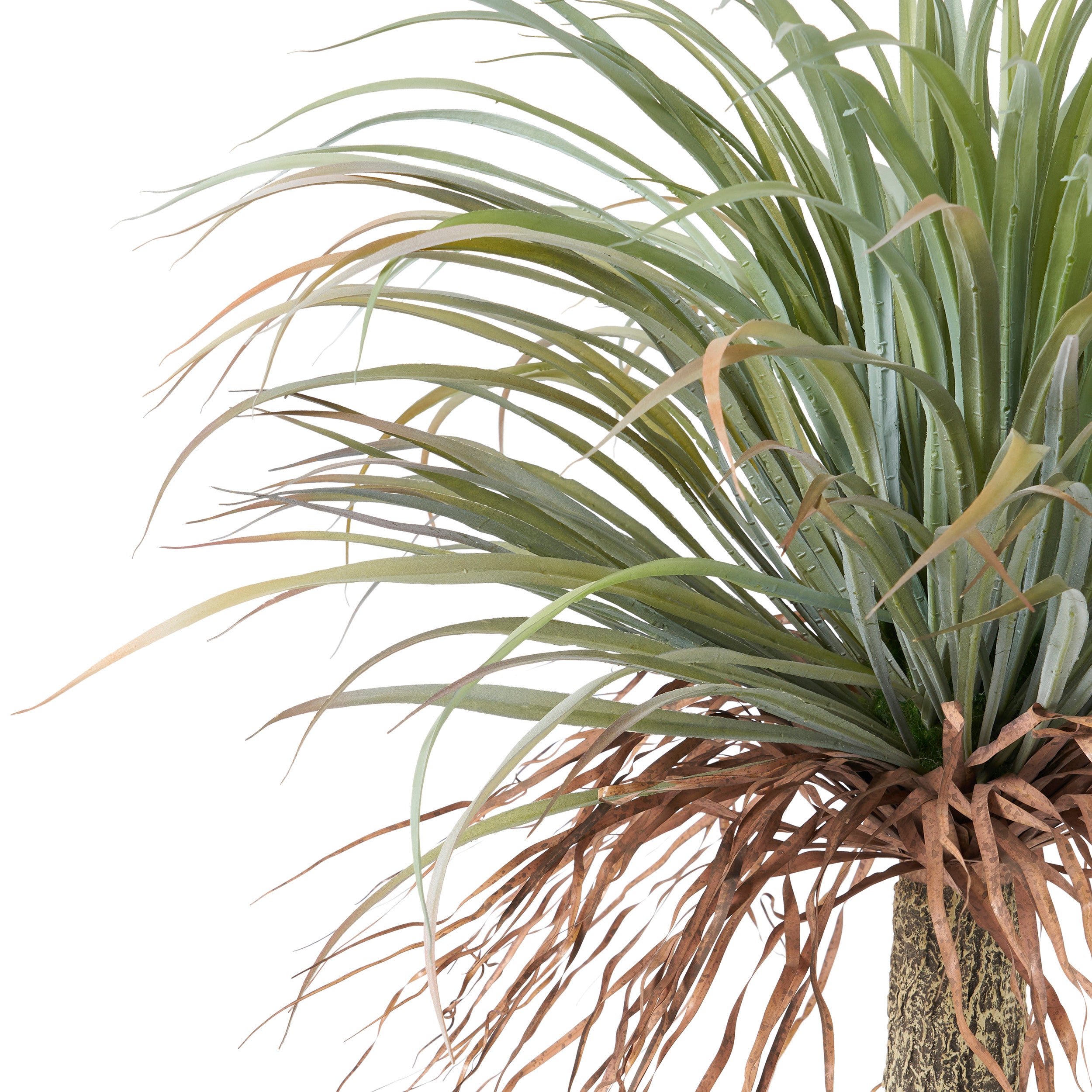 Parrott Artificial Yucca Plant