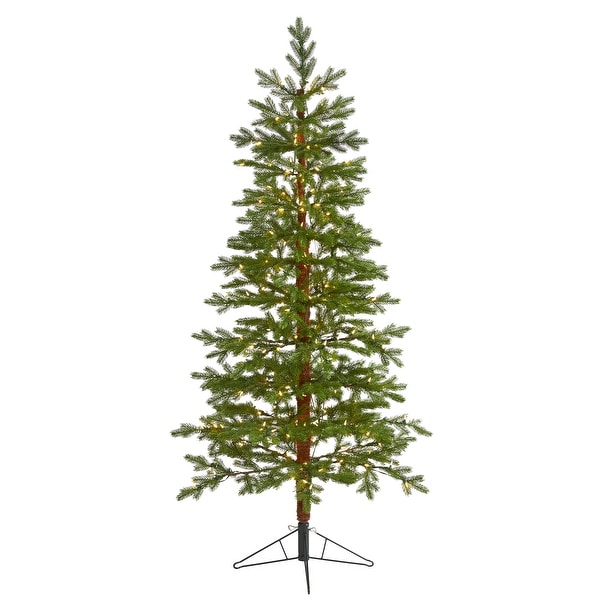 6.5' Fairbanks Fir Artificial Christmas Tree with 250 Clear Warm (Multifunction) LED Lights and 208 Bendable Branches