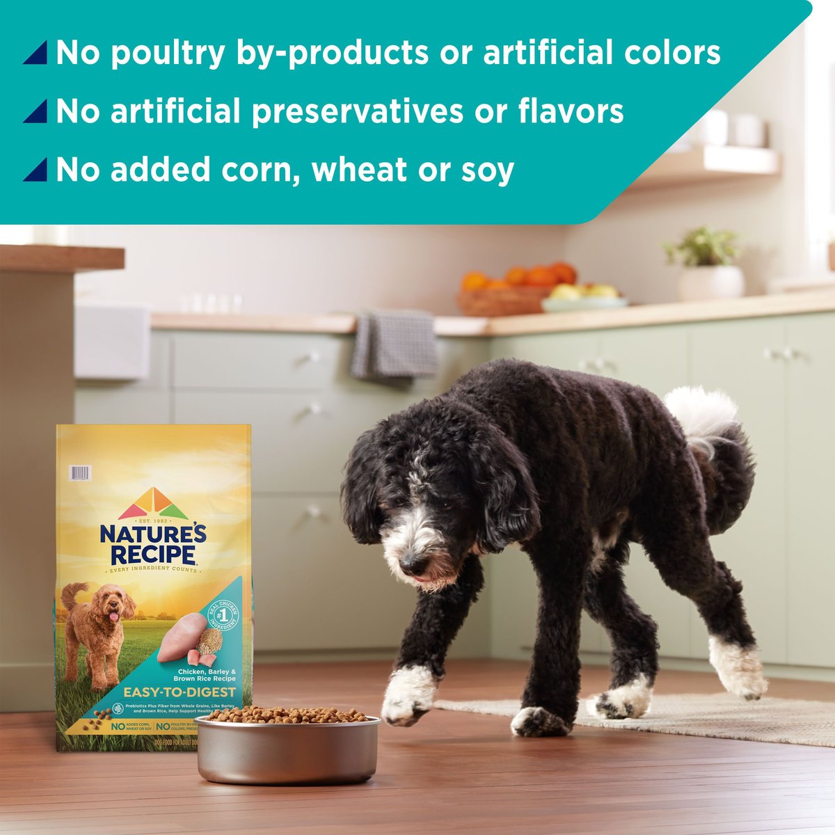 Nature's Recipe Easy-To-Digest Chicken， Brown Rice and Barley Recipe Dry Dog Food