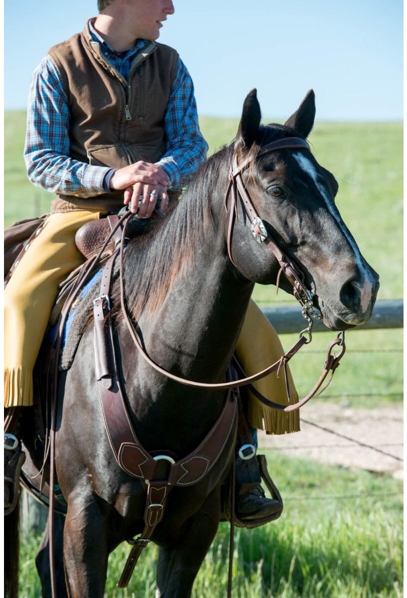 Weaver Leather Working Tack Pulling Horse Breast Collar