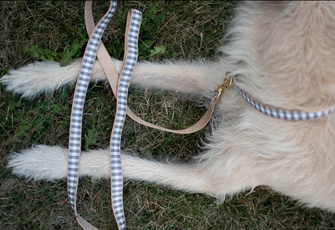 Collar | Gray Buffalo Check