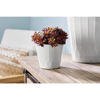 Vigoro 4.8 in. Concord Small White Recycled Plastic Planter (4.8 in. D x 4 in. H) with Attached Saucer DP1722UDPS1722