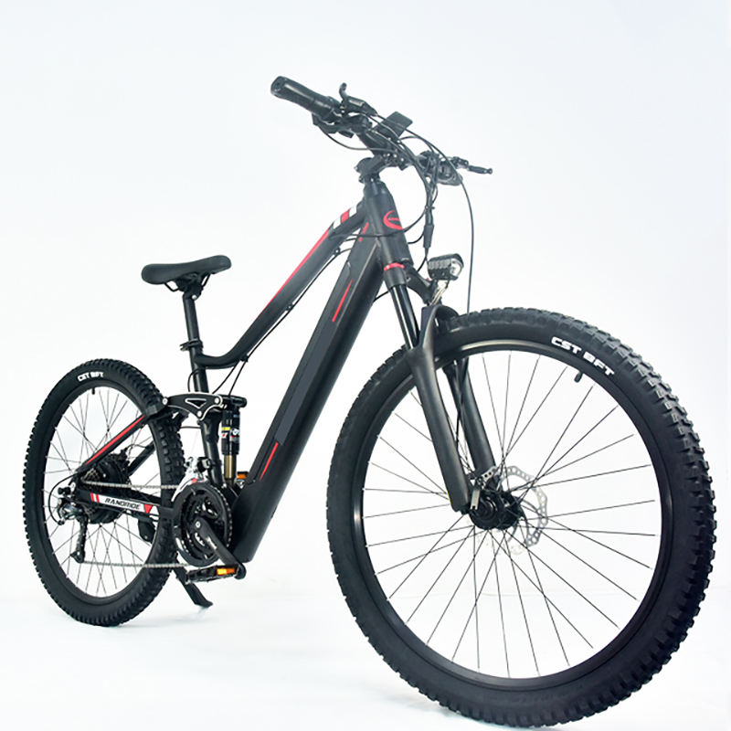 electric bike adult electric cycle 1000w ebike electric bicycle 48v mountain bike mtb electric bicycle(old)