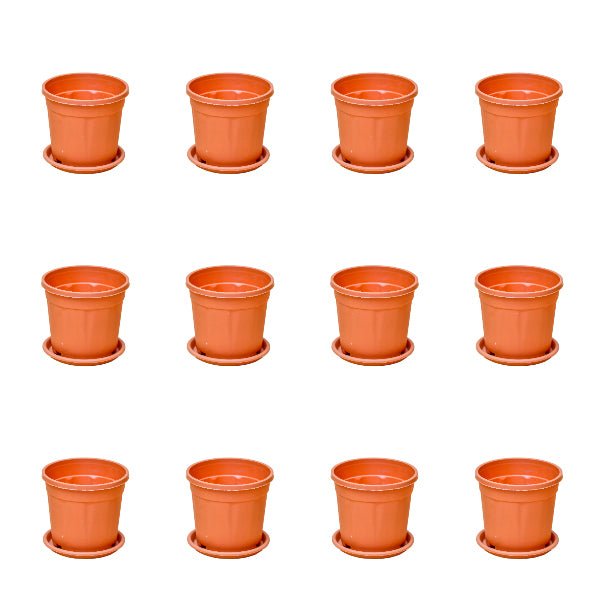 4 inch (10 cm) Grower Round Plastic Pot