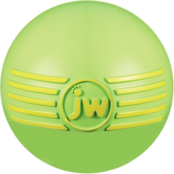 JW Pet iSqueak Ball Dog Toy， Color Varies