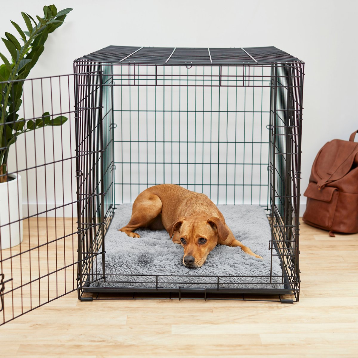 Frisco Eyelash Orthopedic Dog Crate Mat