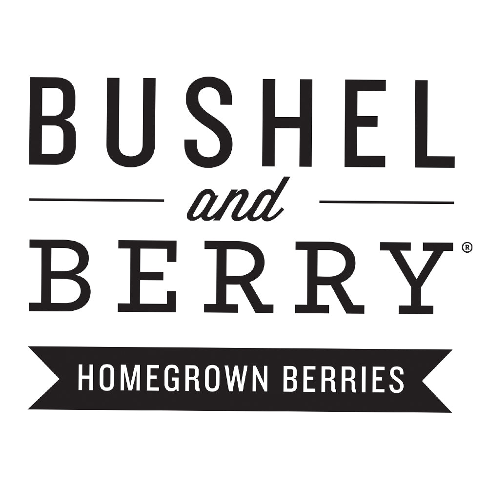 Bushel and Berry® Peach Sorbet™ Blueberry Bush