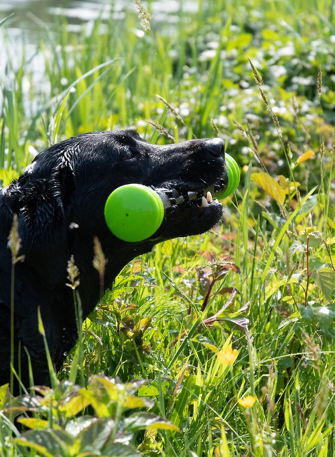 Dog Comets Meteor Throwing Stick Green L