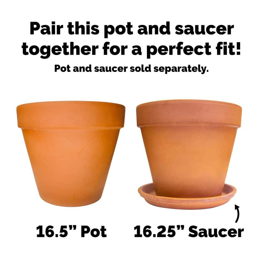 Pennington 17 in. Large Terra Cotta Pot 100043021