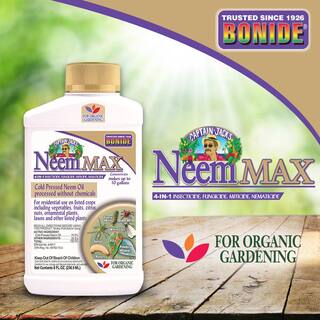 Bonide Captain Jack's Neem Max 8 oz Concentrated Cold Pressed Neem Oil Insecticide Fungicide Miticide and Nematicide 020