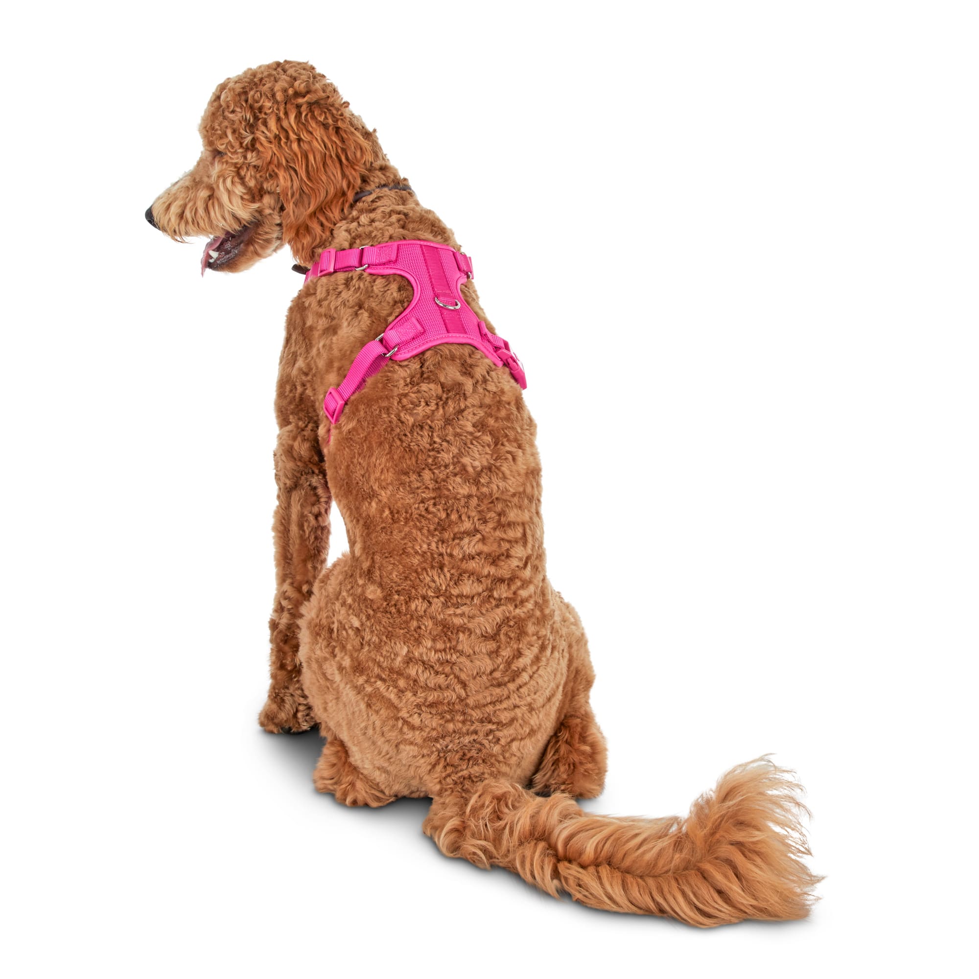 Good2Go Pink Big Dog Harness， XX-Large/XXX-Large