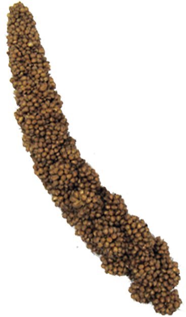 Brown's Tropical Carnival Mini Spray Millet Bird Treat