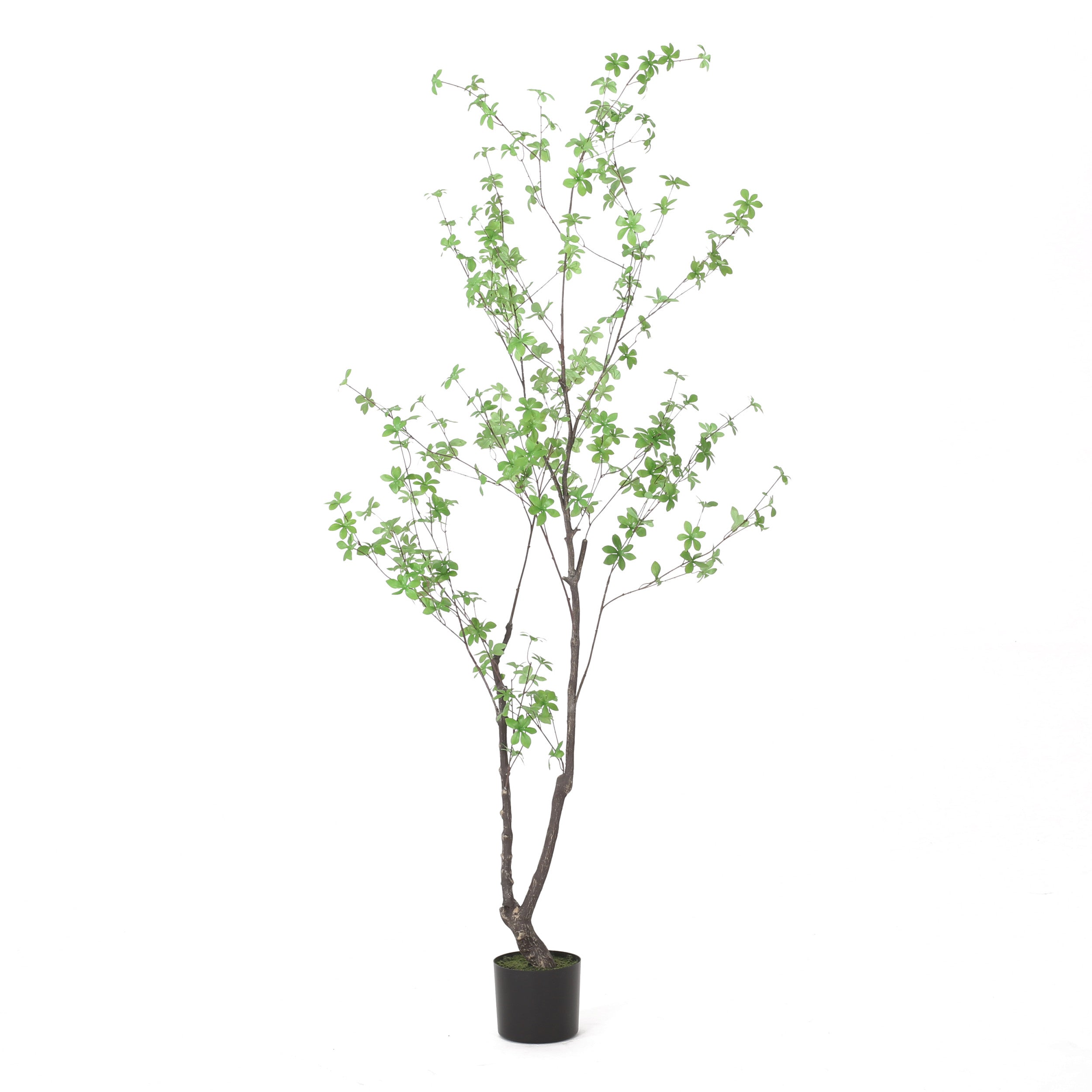 Monadnock Artificial Enkianthus Tree