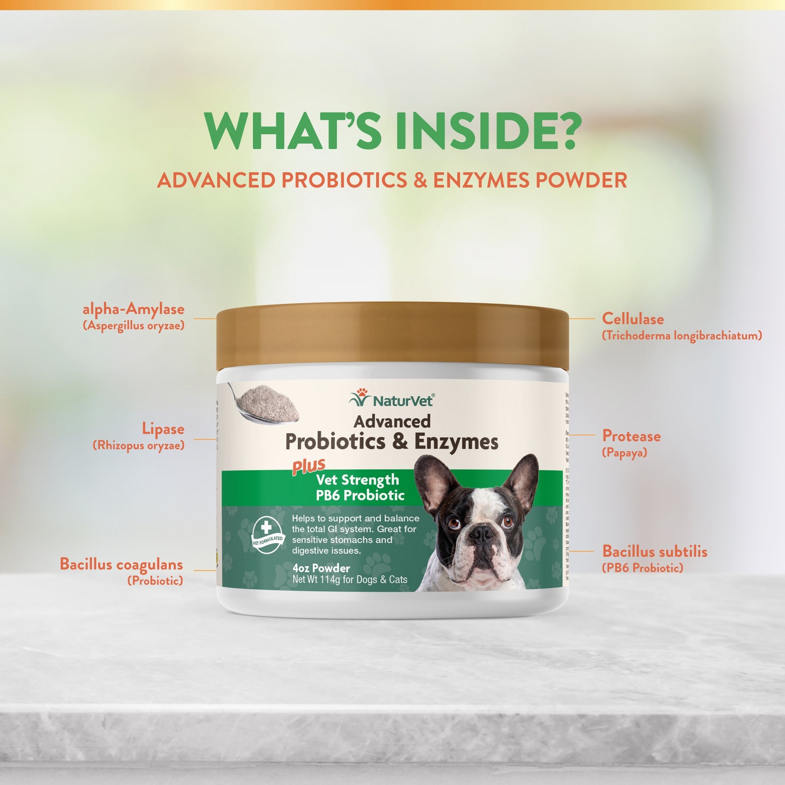 NaturVet Advanced Probiotic  Enzymes Powder for Dogs and Cats