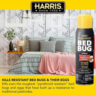 Harris Egg Kill and Resistant Bed Bug Spray BLKBB-16A