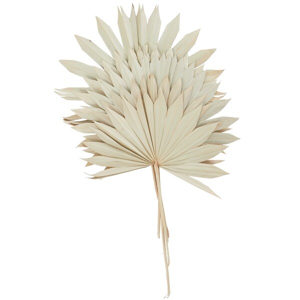 Cream Dried Plant Handmade Large Sun Spear Palm Leaf Home Decor Natural Foliage