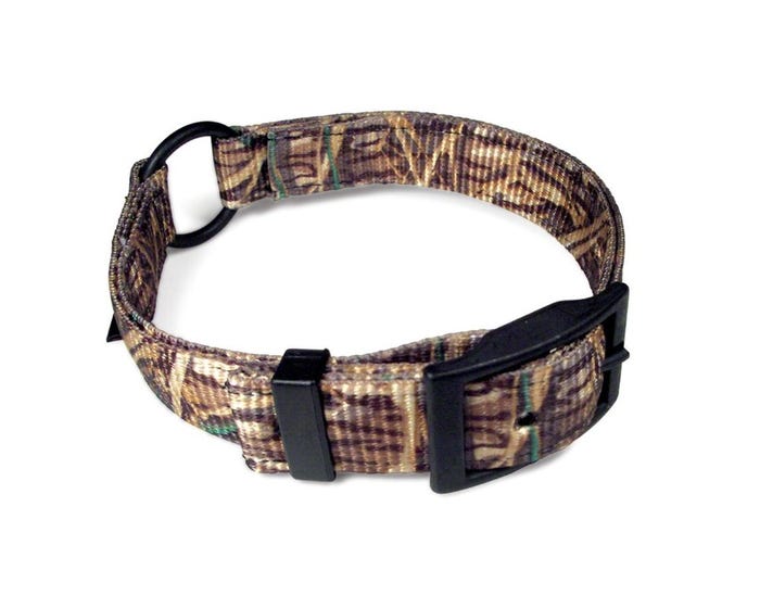 Scott Pet Center Ring Collar - 1649SG16