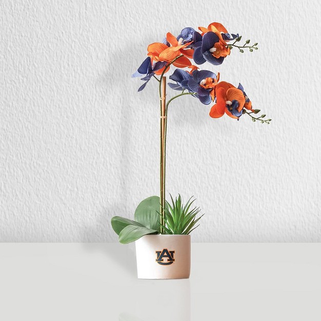 Quicskcart Auburn State Faux Orchid， Indoor Artificial Plant For Home Decor