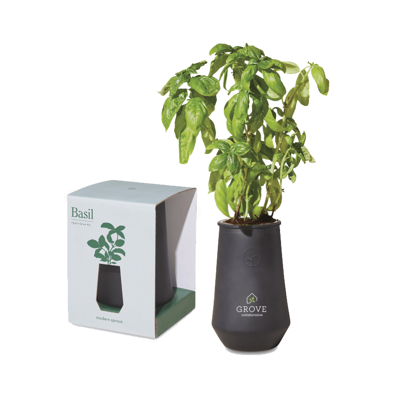 Modern Sprout Tapered Tumbler Grow Kit