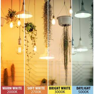 Feit Electric 60-Watt Equivalent ST19 Straight Filament Dusk to Dawn Clear Glass E26 Vintage Edison LED Light Bulb Soft White ST19CL927CADDHDRP